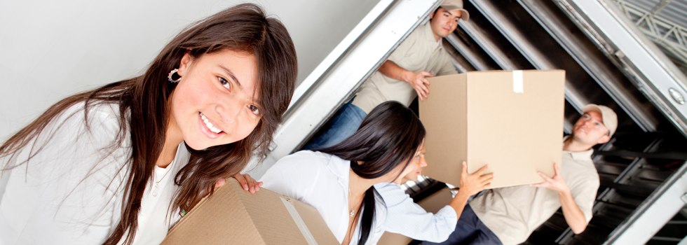 Professional Removalists Noggerup
